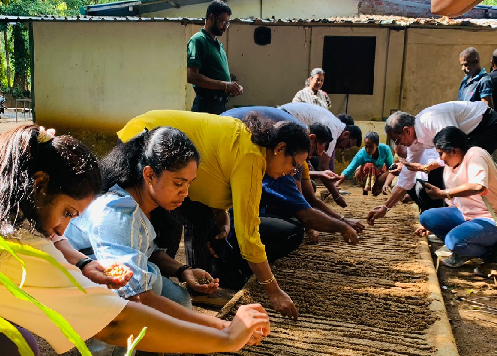 Photo 191: The NSC team visited the Kiyota coffee factory, Kendgolla, Matale, and participated in planting Coffee beans, 13 Sep 2025